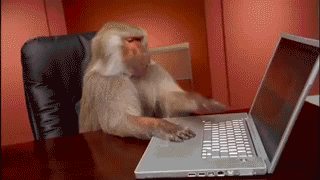 Meeting With a Junior Data Scientist