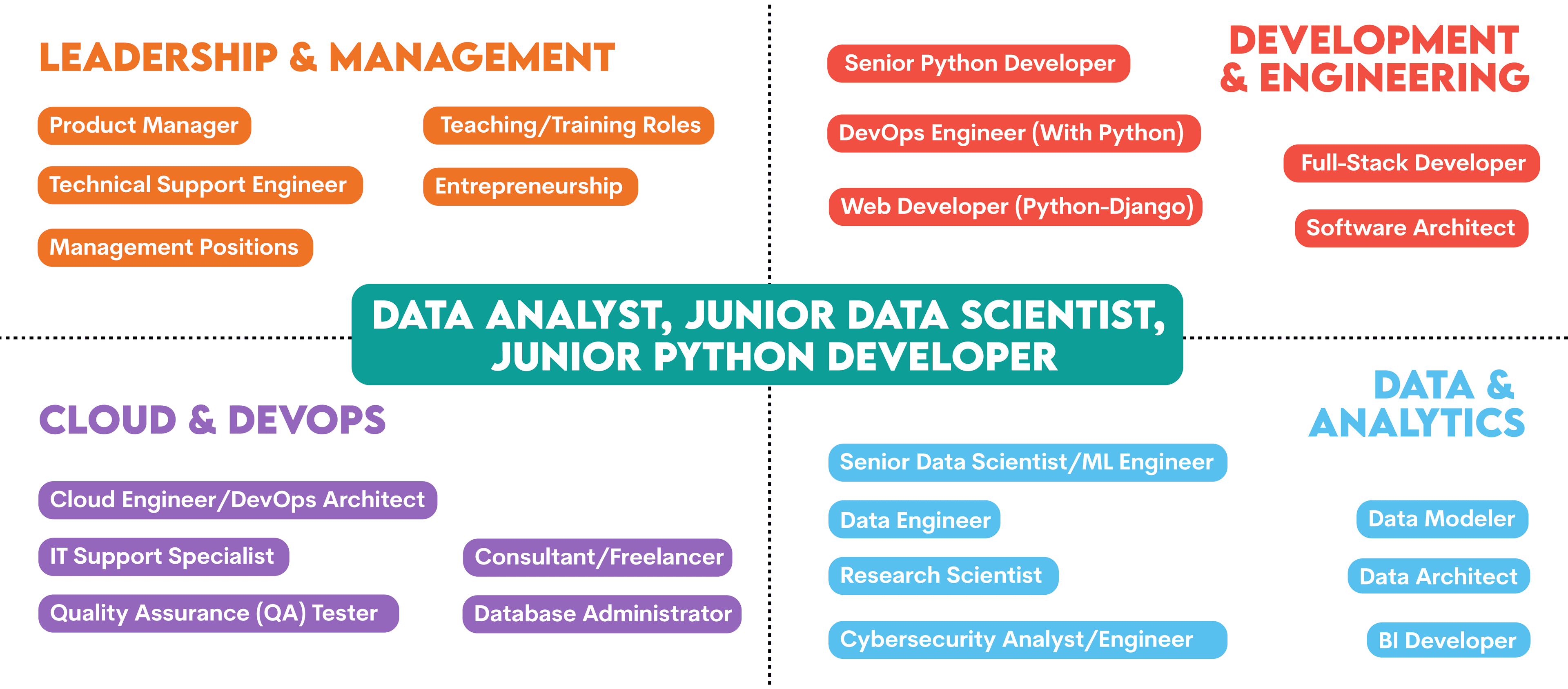 Career Progression and Growth in the Python Role